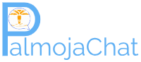 PalmojaChat – Online Business Experience